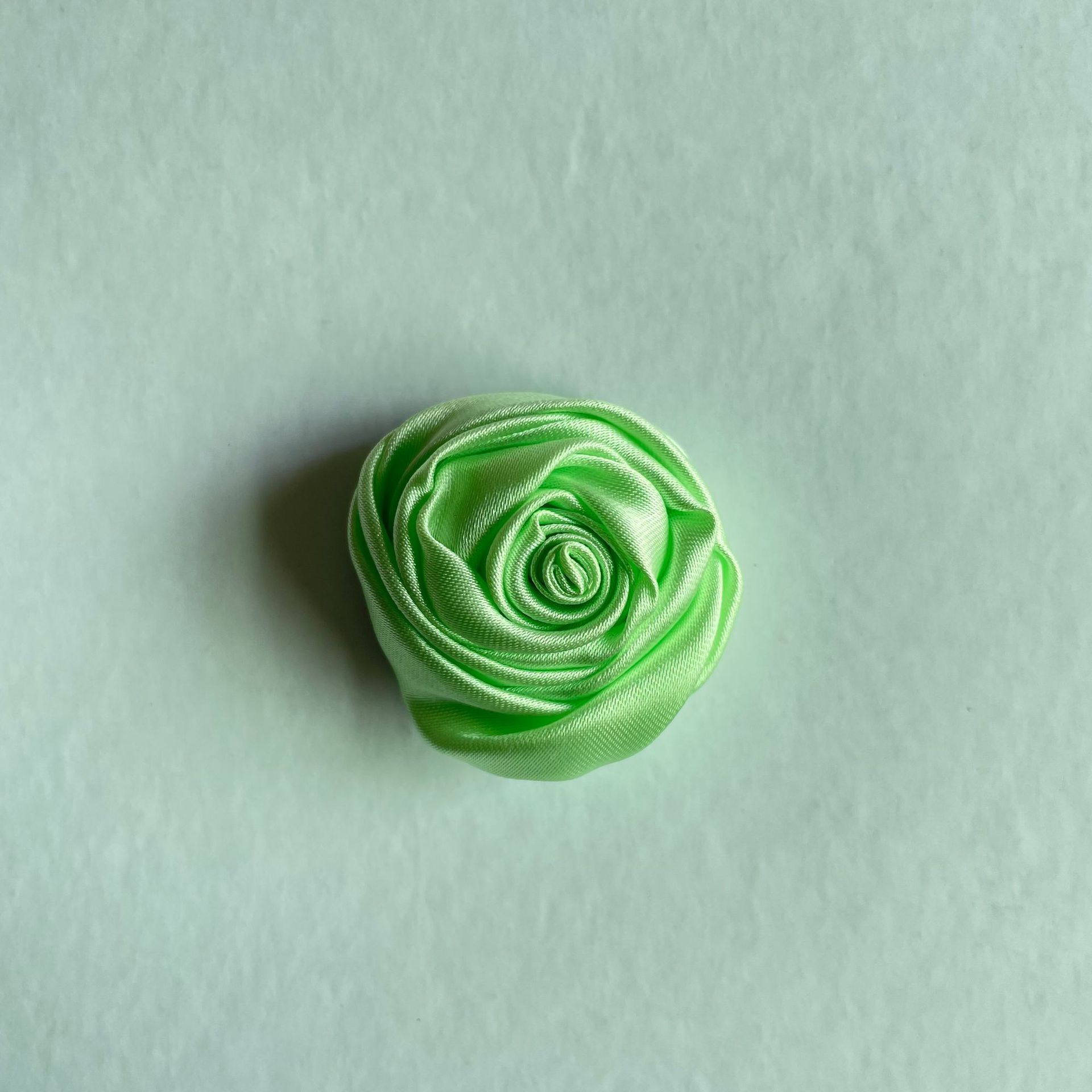 色丁玫瑰3 (33).jpg