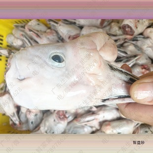 50����l؛�����Z�R���Z�^���Z�^���Z�^���r������ڰ��Z���l