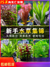 �~���к󾰻��wˮ�ݵ�ˮ�����쾰�t�����~�ŹھG�m͢�������S��