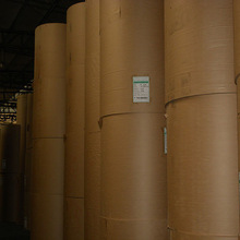 现货优质牛卡批发 卷筒 平张供应厂家 质量好 价格优