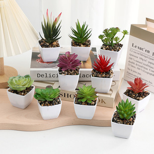 Cross-border Hot-selling Simulation Flocking Mini Square Potted Plant Home Decoration Indoor Balcony Refined Fleshy Bonsai Bonsai