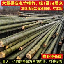 厂家直供毛竹楠竹架杆竹篱笆栅栏小竹子细竹防腐竿竹杆竹条