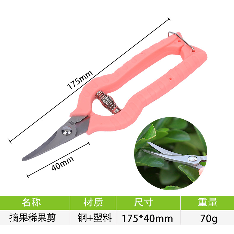 Huerto de fruta recoger cortadora de fruta recoger cortadora de frutas delgadas cortadora de verduras cortadora de frutas cortadora de uva cortadora de frutas cortadora de jardinería herramienta de poda