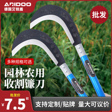 ���l�i�砵��r�È@���ո�ˮ������С�����������s���_·����砵�