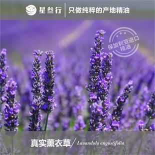 �挍޹�²ݾ��� ���������a����޹�{�㷼��޹�²��� ����ԭ�����l