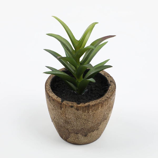 Xiao Feiyang-Old Green
