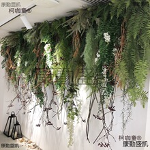 ����Gֲ�ڒ���m�������Gɫֲ��ާ��ڹܵ�����b�ާ�~������