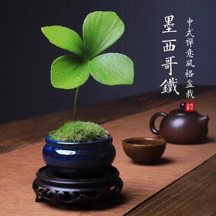 ���\���~���辰�҃�ī�����F���k���҃�������B�F���_����������