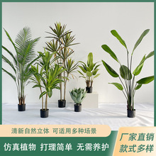 ���W����ֲ����Ϳ͏d�b[���پGֲ�����쾰���l���˽��辰�٘�