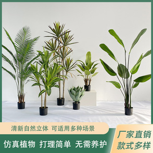 ���W����ֲ����Ϳ͏d�b[���پGֲ�����쾰���l���˽��辰�٘�