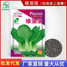 �G�����Ϻ���N��20g �ﶬ�ͺ��Ͳ��߲˷N�ݏS�����l���Ͳ������