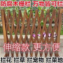 ����ľ�ř���s��؇���̼�����Wľ�h�ʈ@ˇ���T�����o��ͥԺ�̨