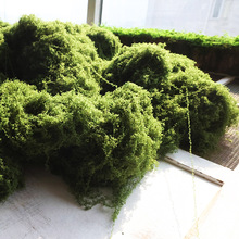 ̦\Ƥ̦Gֲ쾰ز΢^òƺ