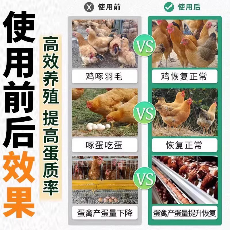 新しいスタイルのチキン、アヒル、ガチョウのついたりを防ぎ、チキンの相互のついたりを防ぎ、卵をついたりを防ぎます。|undefined
