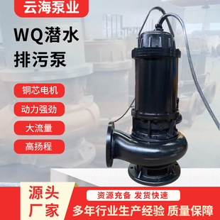 WQ��ˮ���۱÷�Ѵ�ŝ���ˮ��QW��ˮ��վ����������90 110KW���۱�