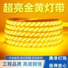 led斜5排100米超亮白光软灯条户外亮化工程装饰室外防水线灯220v
