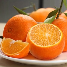 正宗爱媛38果冻橙四季鲜橙湖北爆汁橙子当季鲜果现采汁多肉厚鲜橙