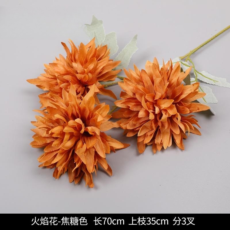 3 불꽃 국화