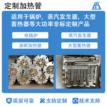 定制大功率220V電鍋爐加熱管 不銹鋼電加熱發熱管單頭雙頭電熱管
