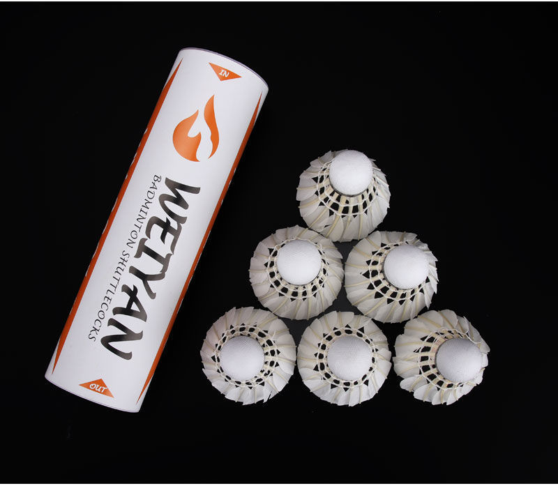 bf20feb0-5f15-4ea0-b89b-39d97b5255ea.jpe