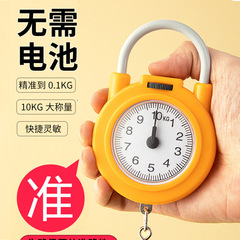 Mini portable spring scale High-precision portable scale Convenient to carry with you when shopping for food Small hook scale Small portable scale