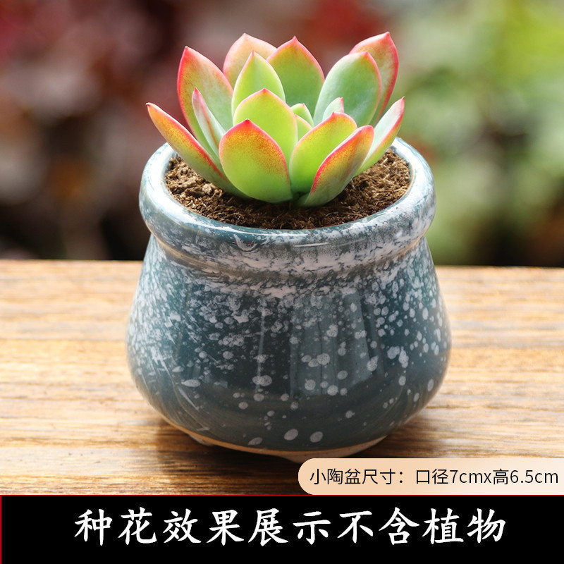 植木鉢の小さい新商品の缶のアイデアの磁器の缶の多い陶磁器の肉のミニ陶のレトロな家庭の陶磁器のたらいの園芸の太い新しいです。|undefined
