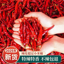 �����������������ó�������u�ƻ���{ζ�����l���ü������l