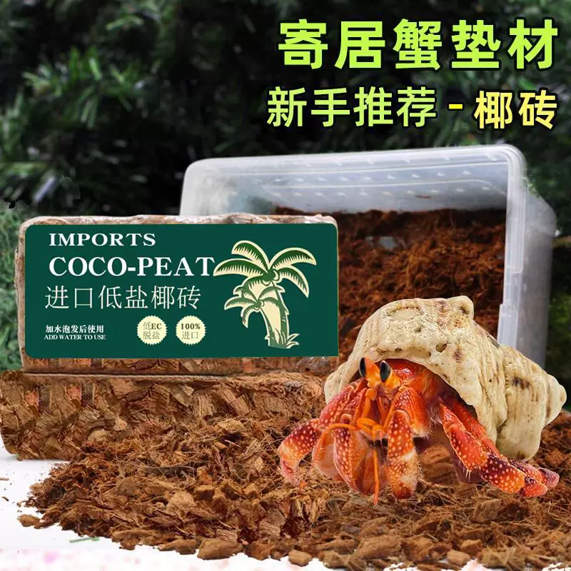 Краб-отшельник кокосовый кирпич питательная почва