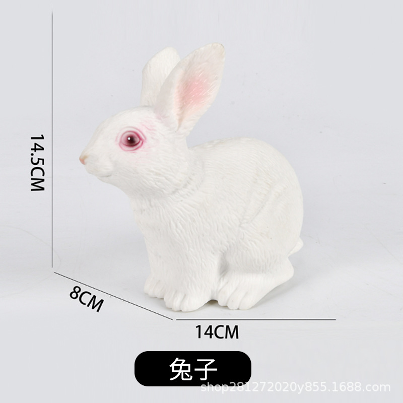 미디엄 화이트 래빗 [소프트]