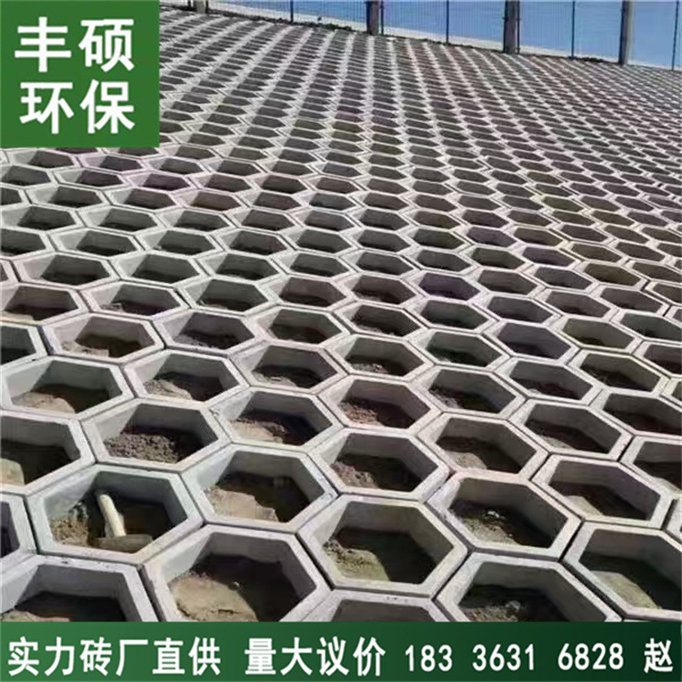 河南许昌河道砖连锁式护坡砖六角砖 量大从优 透水清水砖厂发货