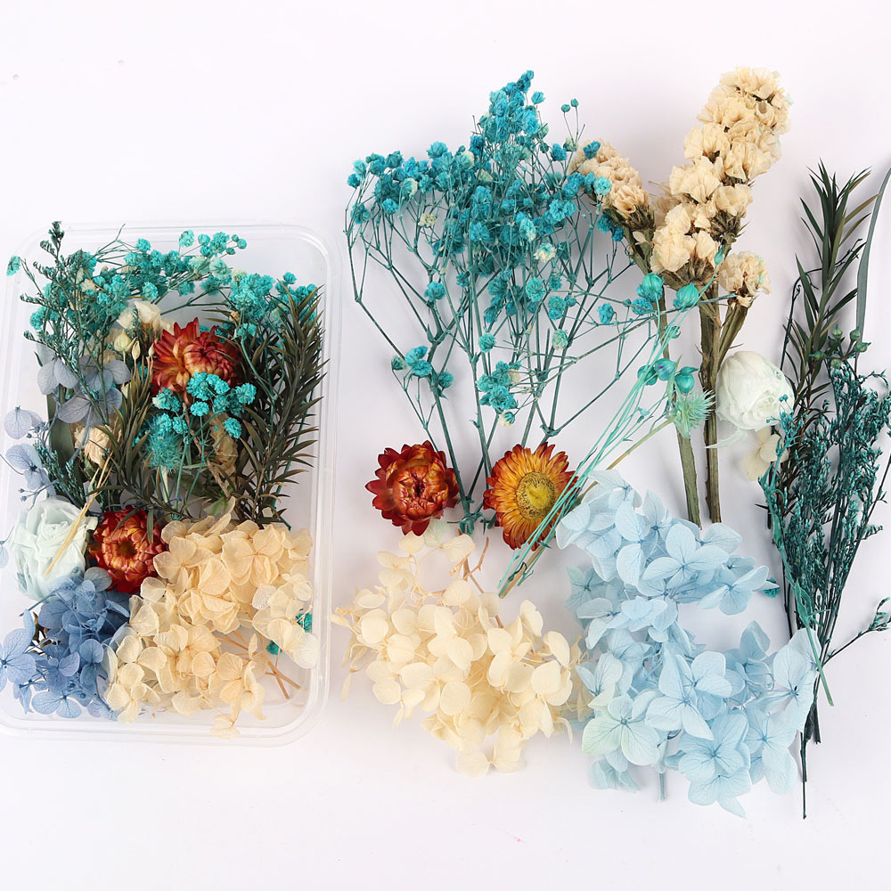 Flores secas preservadas hechas a mano, marco de fotos DIY, decoración mixta, materiales de aromaterapia, flores naturales, ramo de regalo para boda, San Valentín