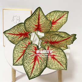 跨境新品仿真绿植滴水观音彩芋叶假花造景装饰婚庆酒店北欧风装饰