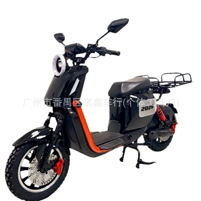 Direct Supply Electric Motorcycles, Elektrikli motosikletlər