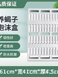 蝎饲养蝎子东亚养殖农场人工盒窝箱泡沫设备养殖工具养殖钳蝎其他