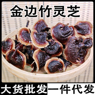 ��߅���`֥ 녽�߅���`֥ ����֥ �W�t���`֥��߅���`֥���l���l