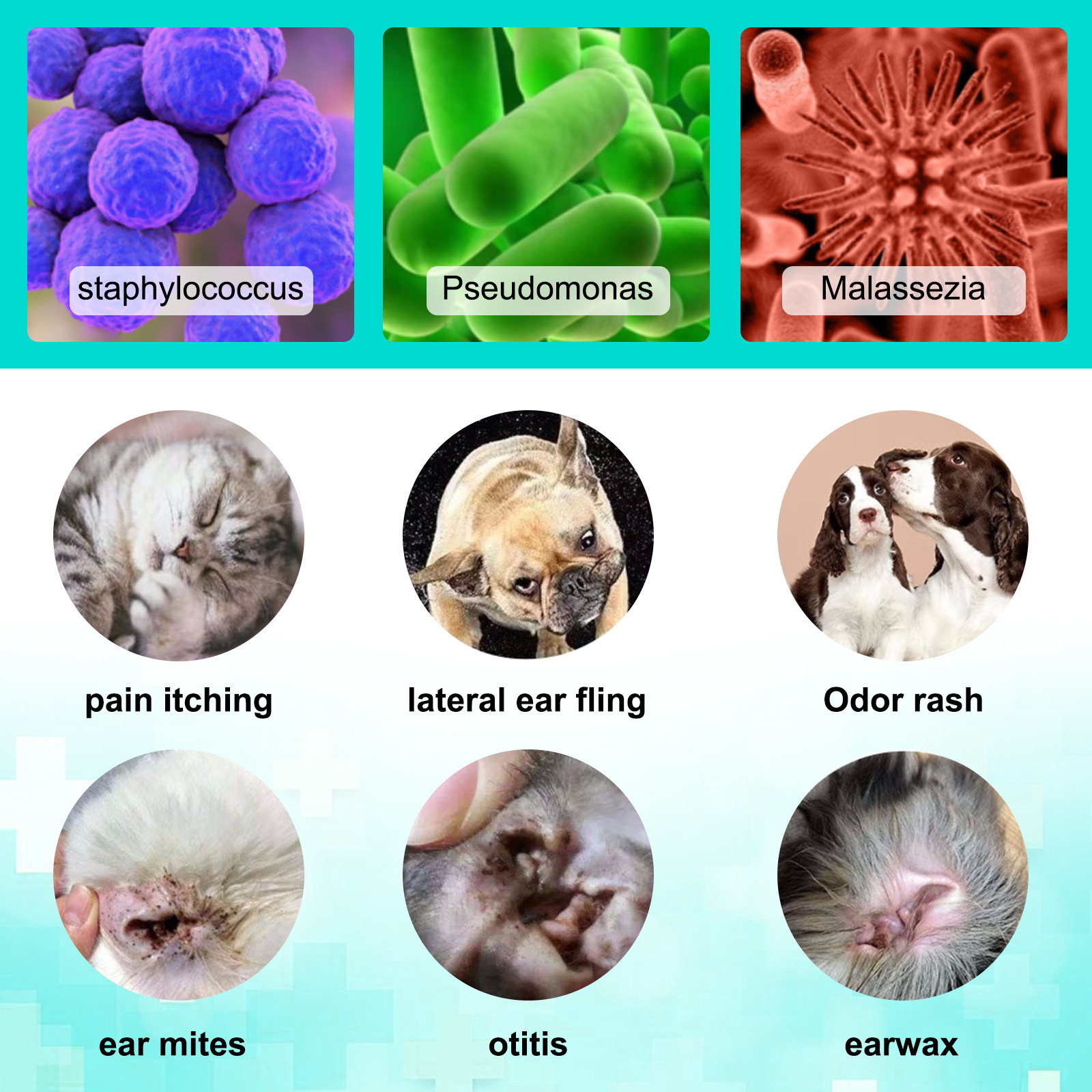 ELAIMEI宠物耳螨油EAR MITE TREATMENT FOR PETS-阿里巴巴