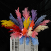 ����9����ë�u׃�����JȔ��Y�������üҾ��bٻ��[��