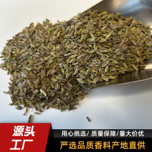 C؛1lș{ζϟۻ側ϸ؛С