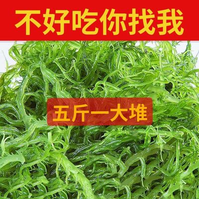 龙须菜绿色新鲜海海藻裙带菜凉拌菜批发长寿菜海带海鲜|ms