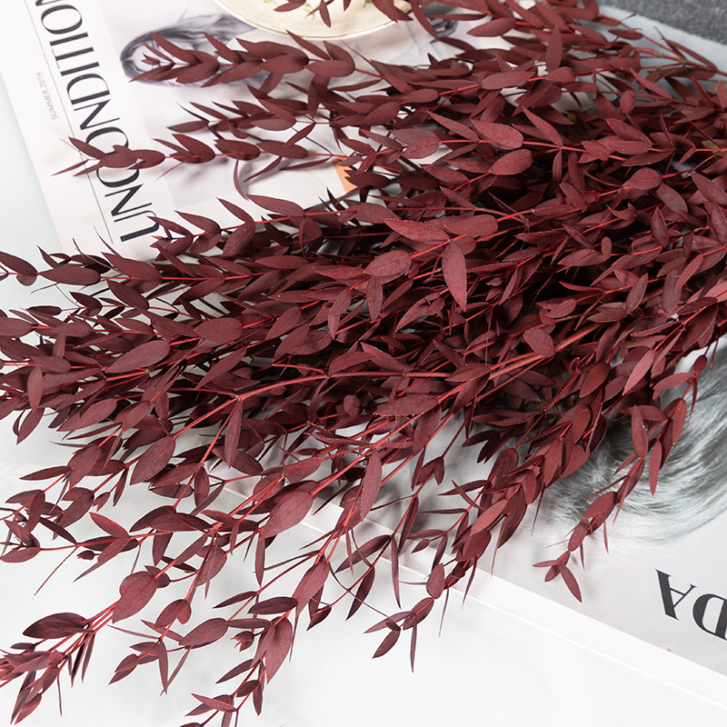 레드 100g 에 따른 아름다운 잎