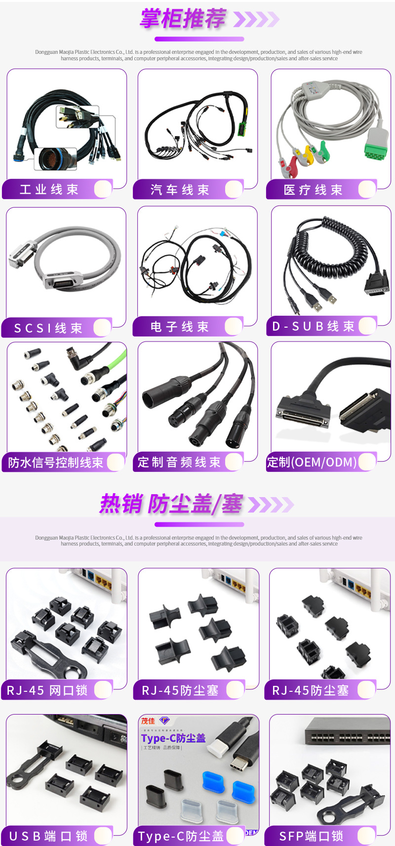 公司详情(中英双版)_01