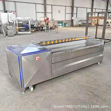 腌萝卜清洗机 304不锈钢咸菜厂用洗萝卜皮硬毛清洗机 大姜洗皮机