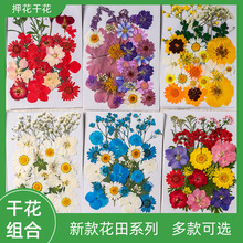 ���~ֲ��˱��׃��@�ֹ��N��diy�ɻ�����Ѻ�������z�������ϰ�