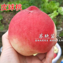 ������Ƥ������޽��Ҙ�����Ȫˮ�����箔��Y���׻�����֬������