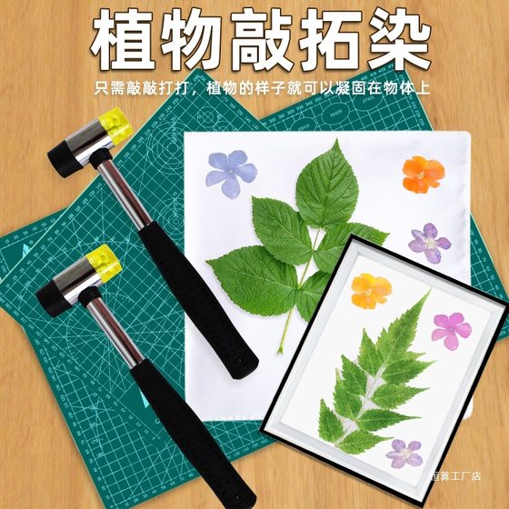 Plant tapping and dyeing material bag alum fixing agent kindergarten children's printing and dyeing hammer canvas diy tool suit