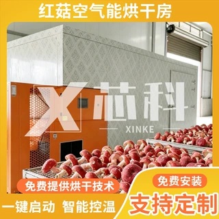 红菇烘干机 大型鲜菌蘑菇烘烤房 空气能香菇滑子菇烘干设备可定制