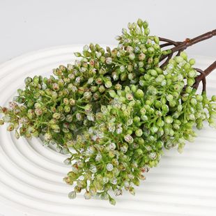 ����ֲ�� ����ֲ�����˜I�Gֲ���� ���ϴ��������й��Ҿӻ�c�b�