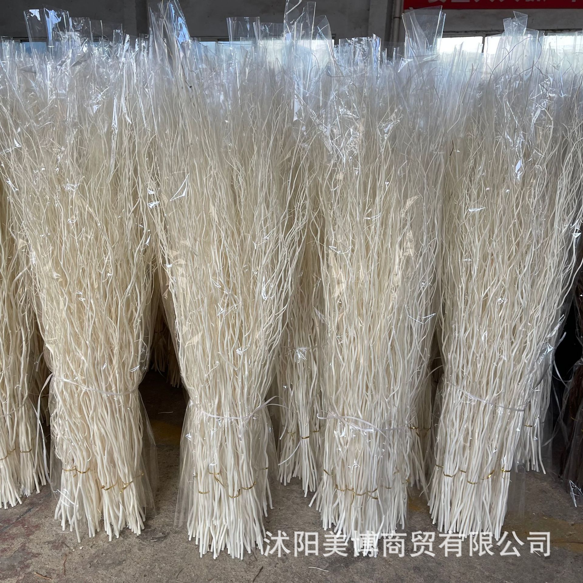 天然龙柳干树枝花艺装饰婚庆婚礼云龙柳干枝橱窗装饰龙柳枝灯具