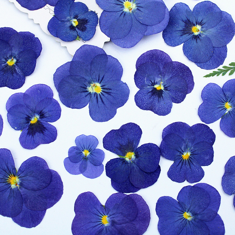 h2uTiviiztSHn2aJjQ1YWs2K5qfucIGoINsv