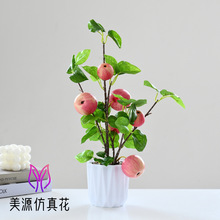 �ٻ�����ֲ��ߙnˮ�����辰�����҃Ȕ[�����滨����Gֲ��������